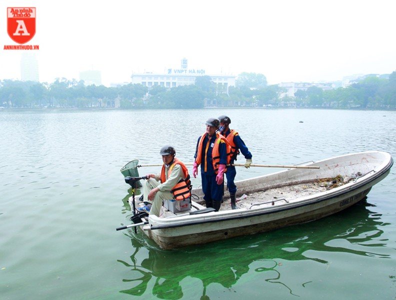 Nhiều váng xanh đậm đặc xuất hiện ở ven hồ Hoàn Kiếm